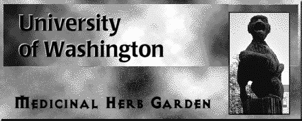 UW Medicinal Herb Garden