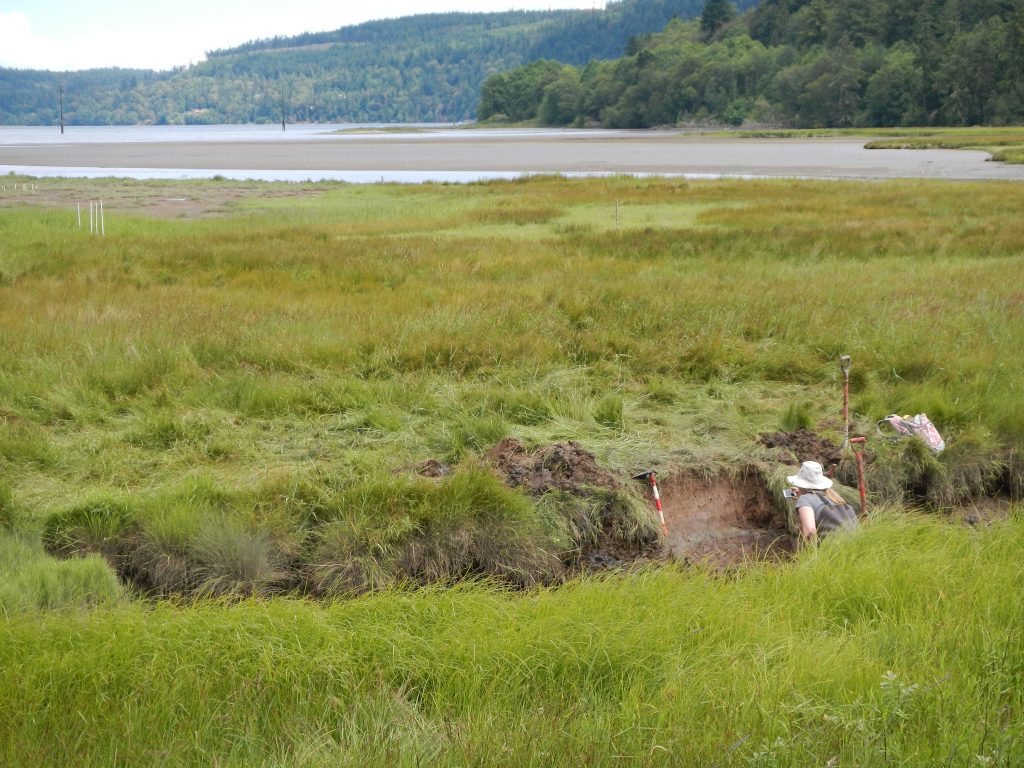 View looking to the north at the head of Discovery Bay, WA