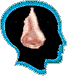 cc1