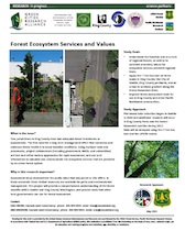 forest assessment