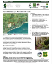 forest assessment