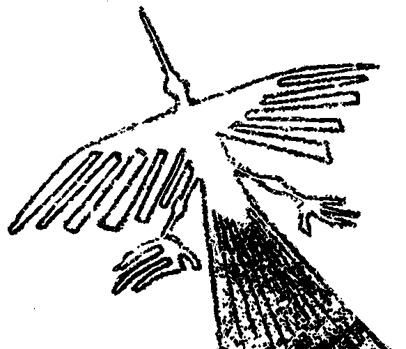 Condor Nazca