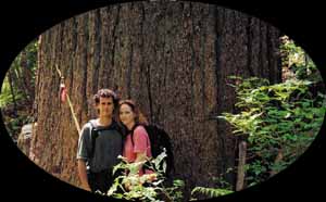 My husband and I in front of a large Douglas Fir on the trail to Trout Lake in 1995.