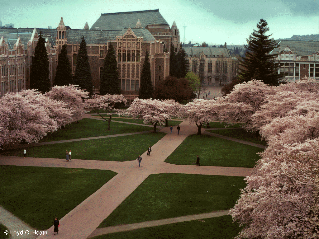 Uw photography Free Stock Photos, Images, and Pictures of Uw