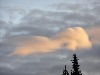 Lenticular Cloud, a rare sighting.