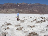 Chris in the Devil's Golf Course, Death Valley