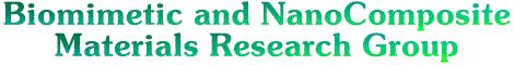 NanoComposite and Biomemetic Materials Research Group