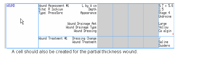 Wound Care Charting Example