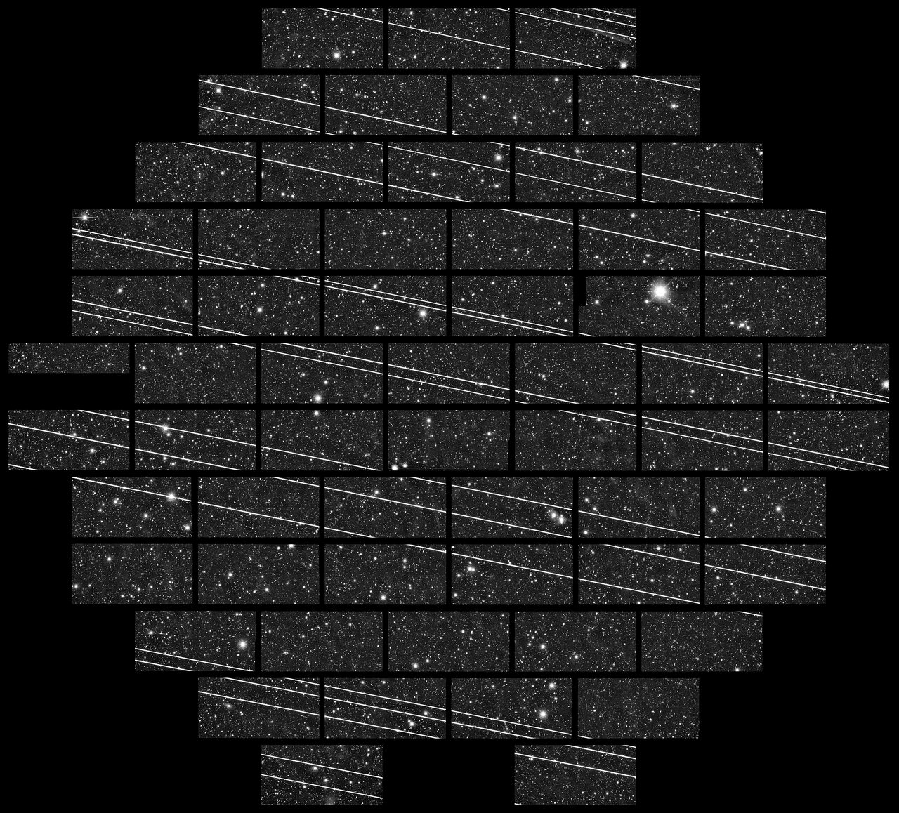 mosaic image of b&w starry sky with more than a dozen bright satellite streaks