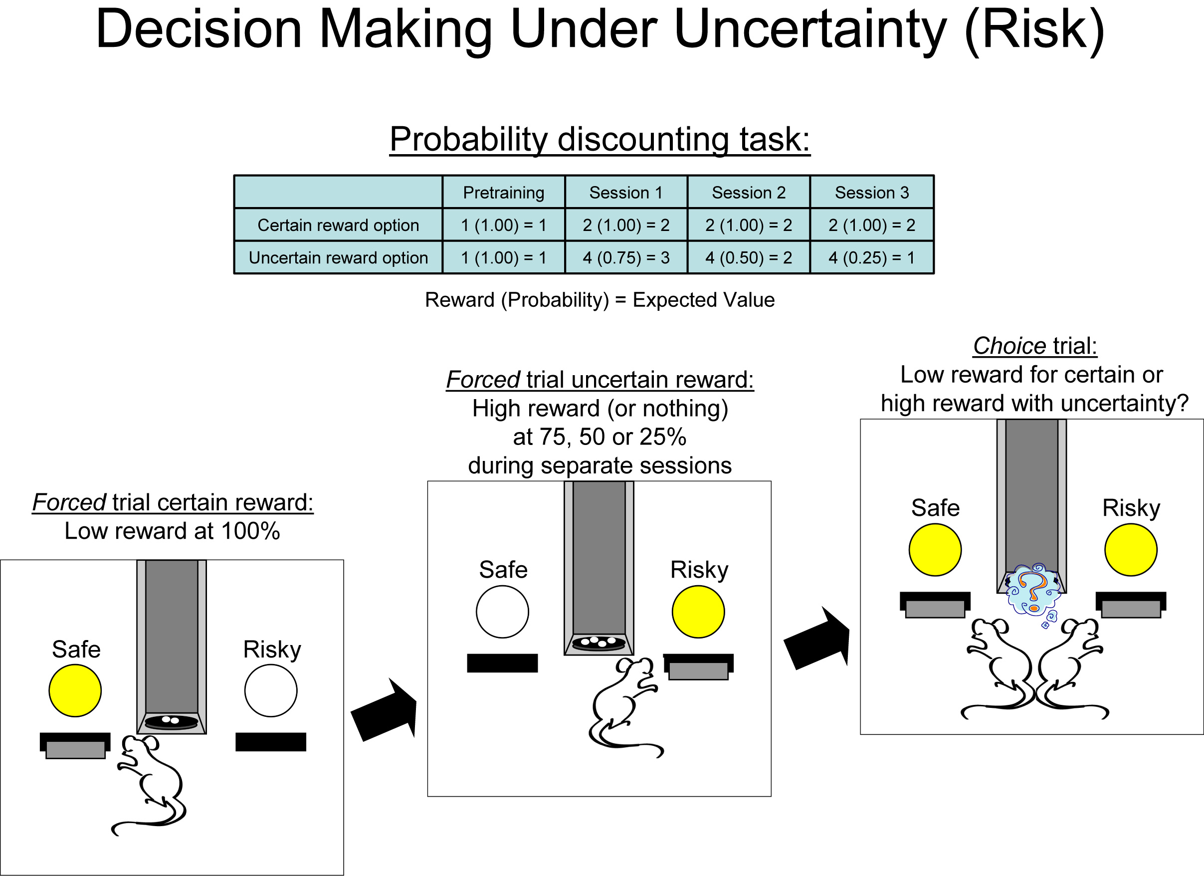 probability discounting task