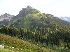 Liberty Cap