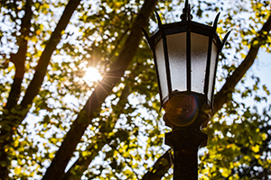 top of ornate street lantern in foreground with sun shining through green leaves of trees in background